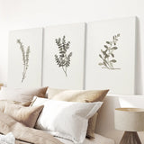 Vintage Floral 3 Piece Wall Art. Rustic Botanical Posters