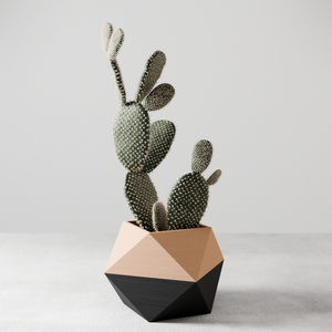 ICO Planter by Modernized Pottery