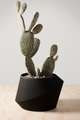 Eco-Vases and Planters