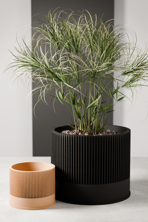 Sakura Planter