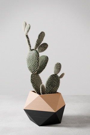 ICO Planter by Modernized Pottery