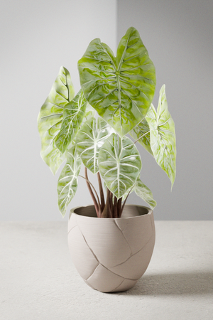 Quake Planter
