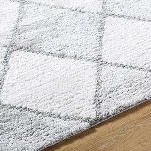 Aideen Gray Shag Area Rug - Clearance