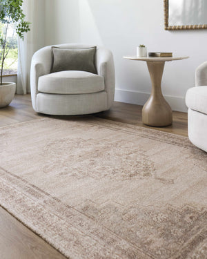 Luciana III Traditional Medallion Area Rug