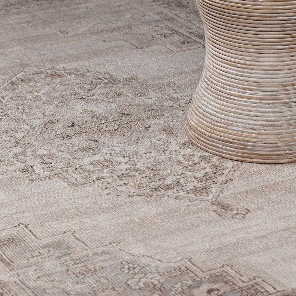 Luciana III Traditional Medallion Area Rug
