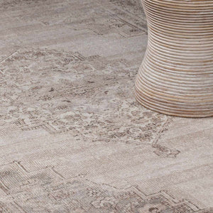 Luciana III Traditional Medallion Area Rug