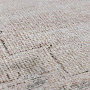 Luciana III Traditional Medallion Area Rug