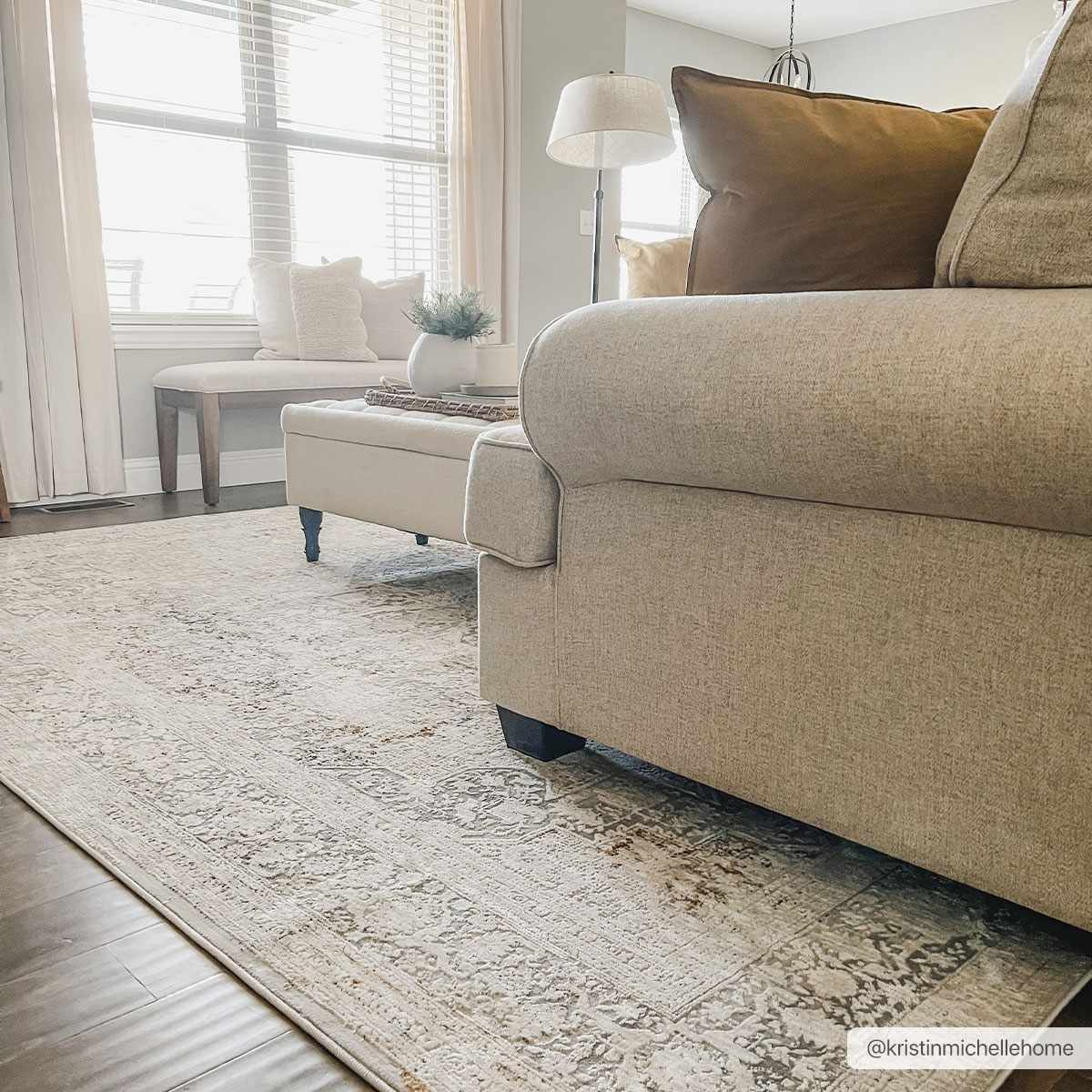 Eley Traditional Area Rug - Clearance