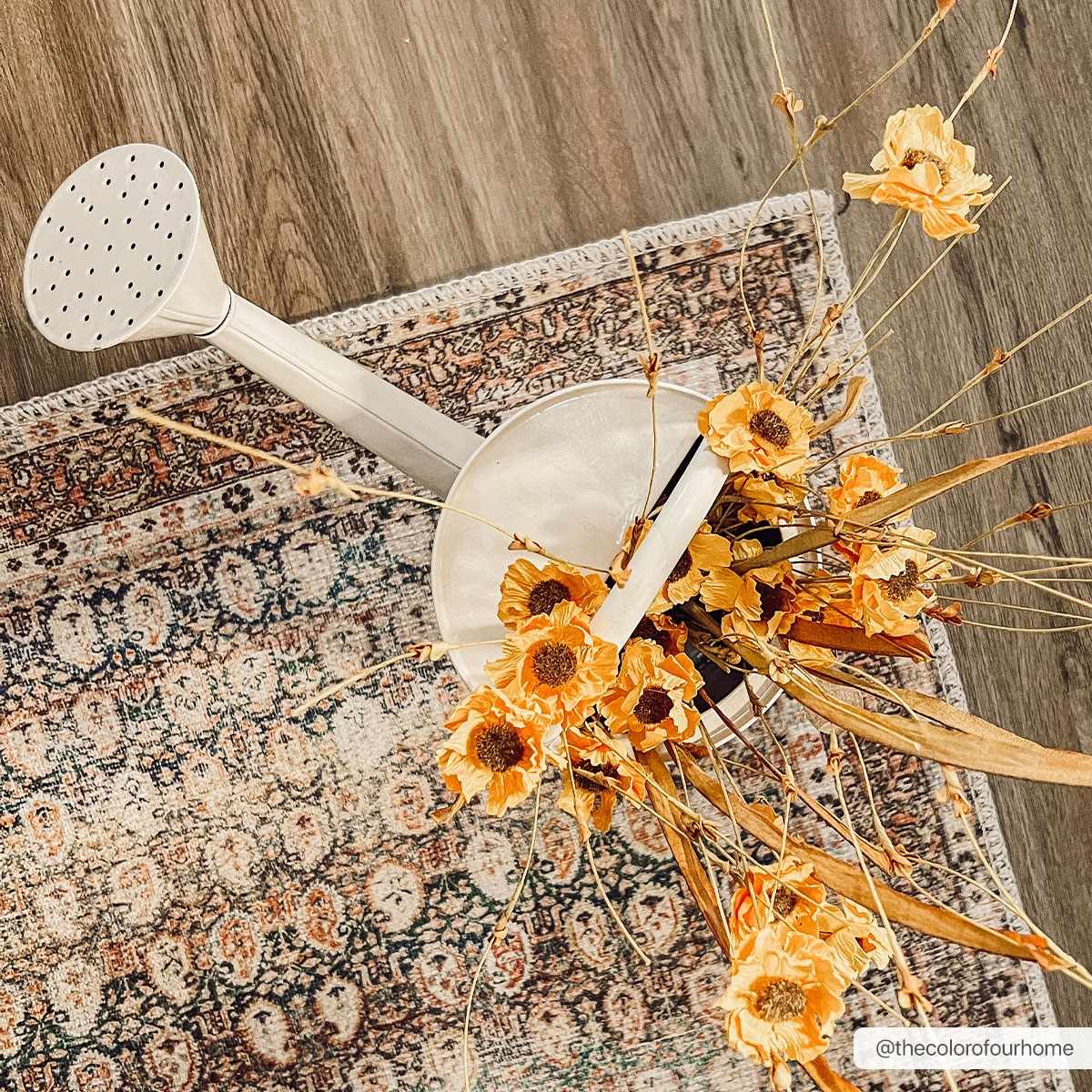 Maligaya Distressed Washable Rug - Clearance