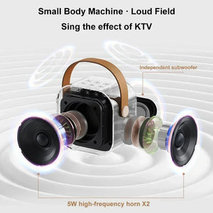 Bluetooth Karaoke Machine for Kids & Family with Wireless Mics LED Lights