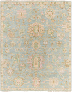Blue Amiri Area Rug - Clearance