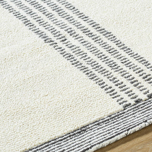 Ande Ivory Area Rug