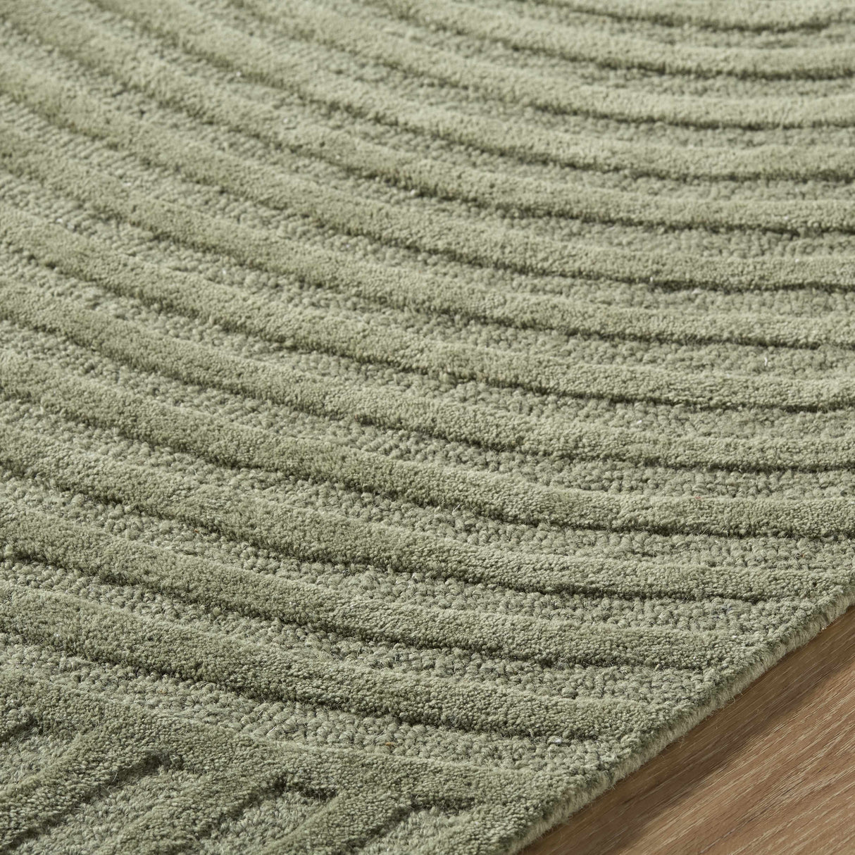 Whan Sage Area Rug