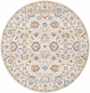 Araya Area Rug - Clearance