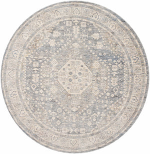 Artan Area Rug - Clearance