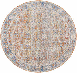 Dalit Area Rug - Clearance
