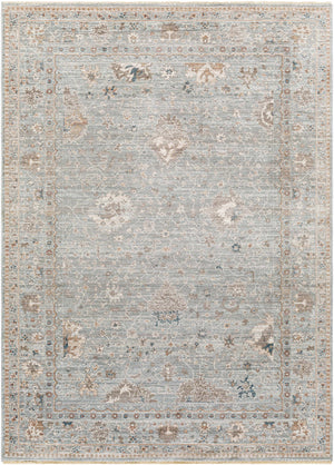 Scole Area Rug - Clearance