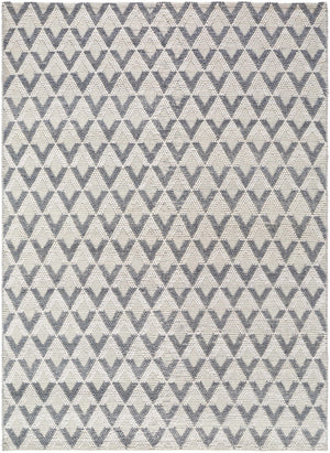Maik Area Rug - Clearance