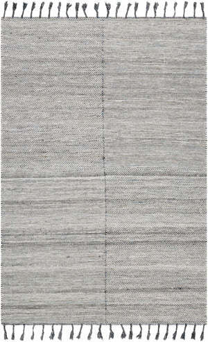 Anaya Beige & Teal Area Rug - Clearance