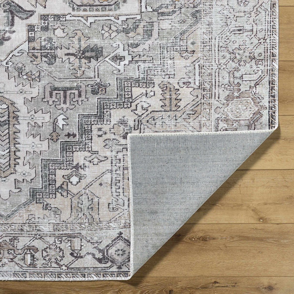 Nadia Area Rug