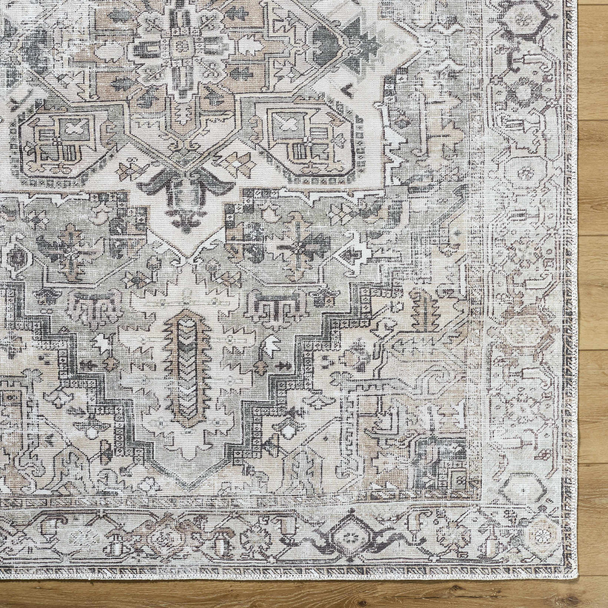 Nadia Area Rug