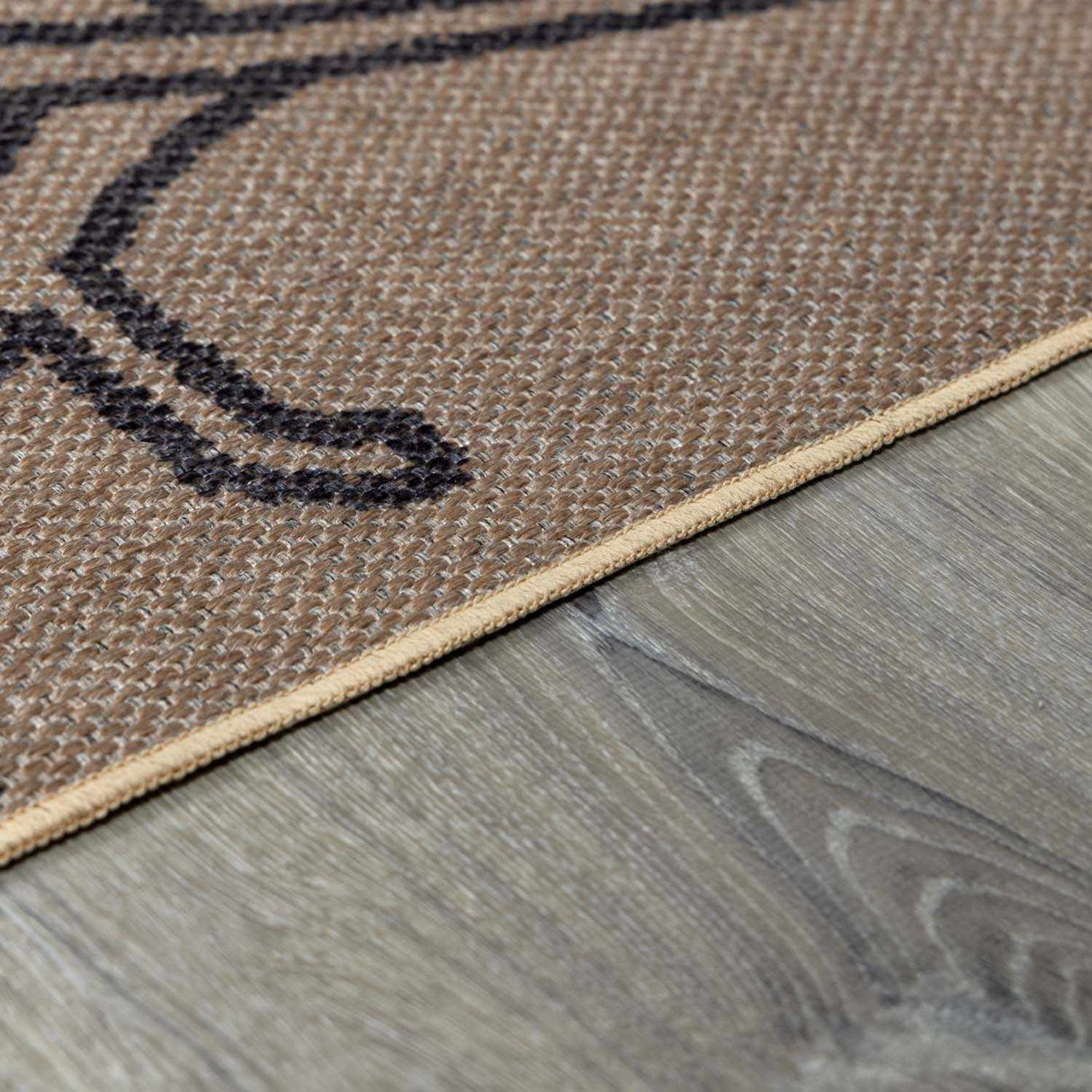 Anuja Washable Jutely Rug