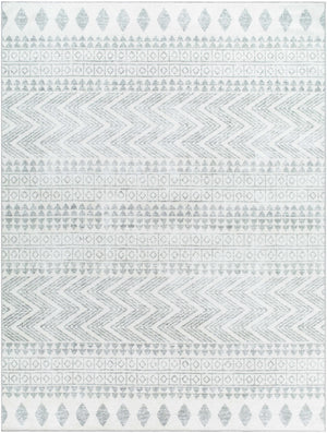 Danon Washable Area Rug - Clearance