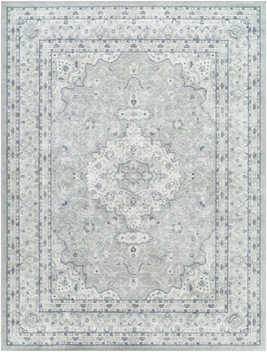 Farai Gray Medallion Area Rug - Clearance