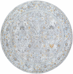 Finn Silver Blue Area Rug