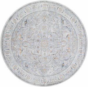 Hewez Area Rug