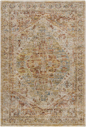 Alois Rust Rich Textured Traditional Rug