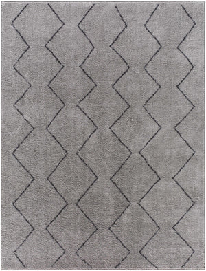 Amro Washable Area Rug - Clearance