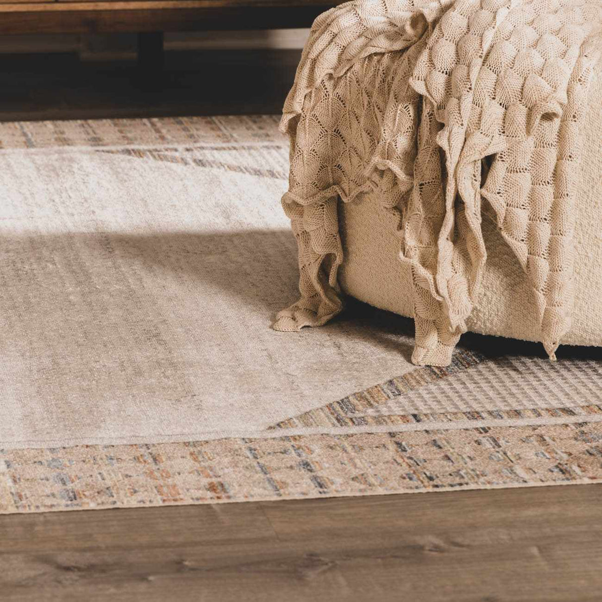 Remy Washable Area Rug - Clearance