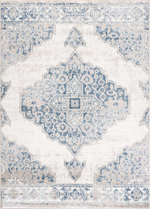 Boutique Rugs Amir Area Rug