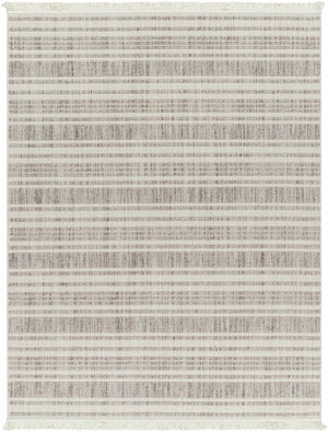 Avari Area Rug