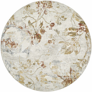Nasia Area Rug