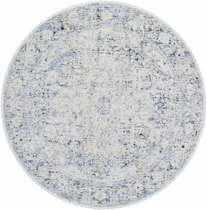 Charo Light Gray Area Rug