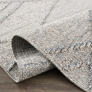 Baqer Taupe & Gray Textured Performance Rug - Clearance
