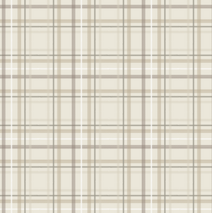 Minky Stretch XL Throw Blankets