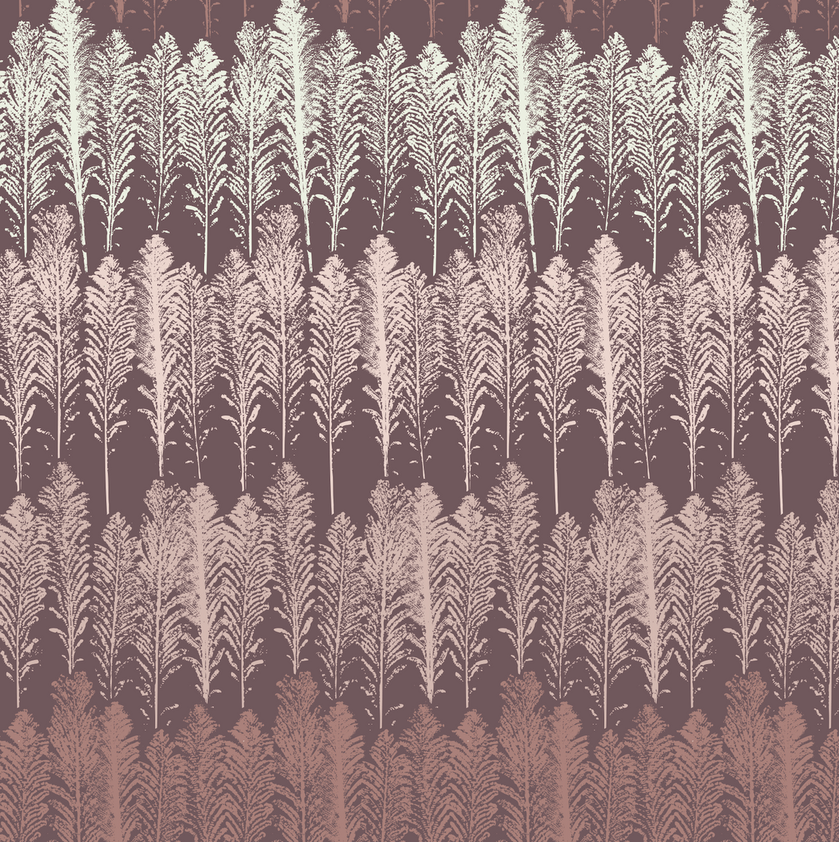 Jansen Wallpaper by Rusky Rose by Amy