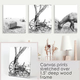 Black White Farm House Wall Décor. Horse, Hay Bales