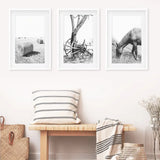 Black White Farm House Wall Décor. Horse, Hay Bales