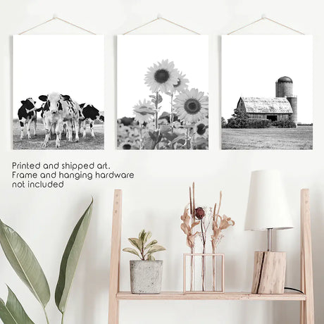 Rustic Black White Wall Art Set. Cows, Sunflowers, Old Barn