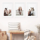 Horses. Modern Farmhouse Prints. Western Set of 3