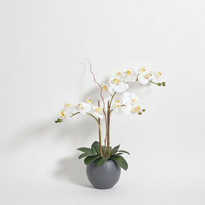 Artificial White Double Stem Orchid