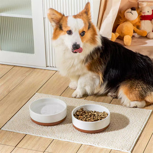 Tara Dog Bowls