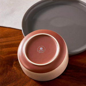 Tara Multicolor 24-Piece Dinnerware Set for 8