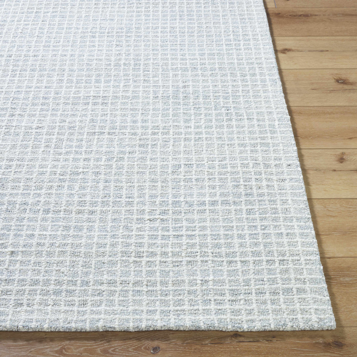 Anahid Soft Blue Area Rug
