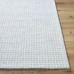 Anahid Soft Blue Area Rug