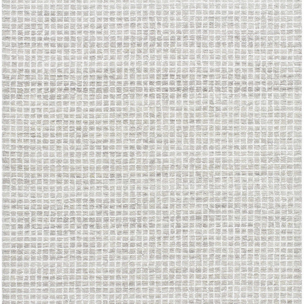 Anahid Gray Area Rug